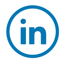 linkedin raúl
